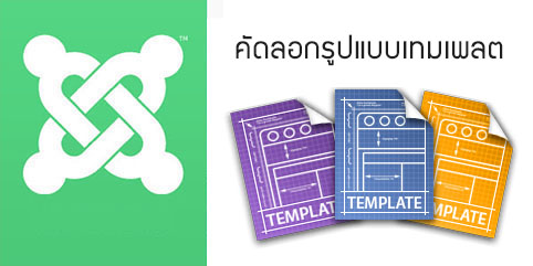 Copy Styles เพื่อนำรูปแบบเทมเพลตไปใช้กับหลายเมนู