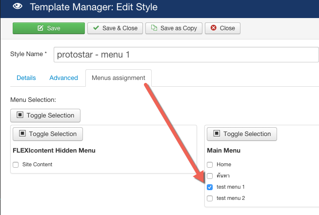 Duplicate Styles Joomla 4