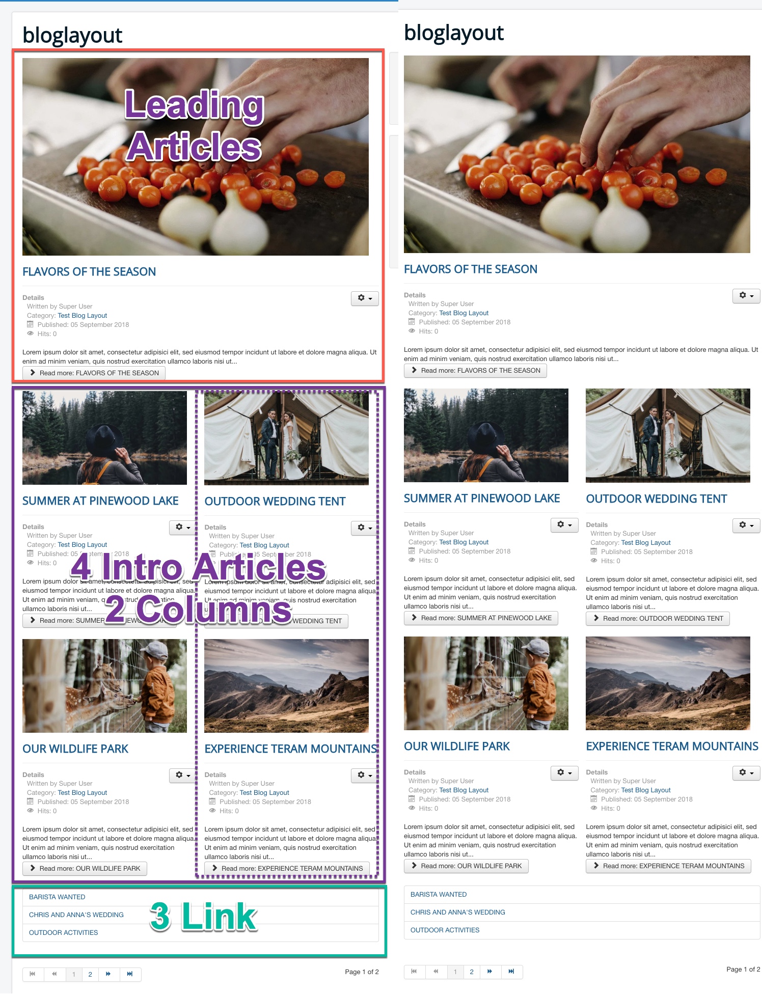 blog category view with auto created introtext and new look 13