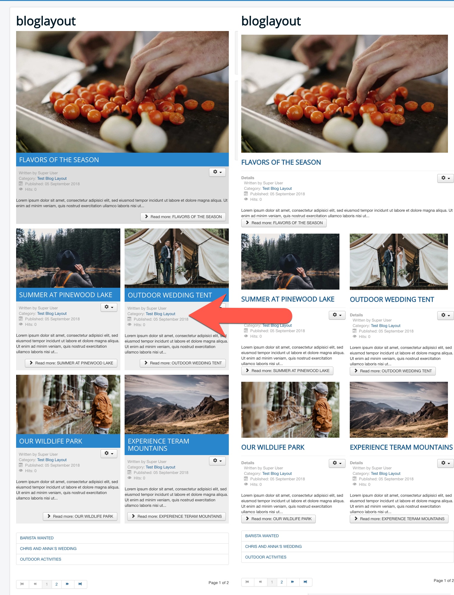 blog category view with auto created introtext and new look 16